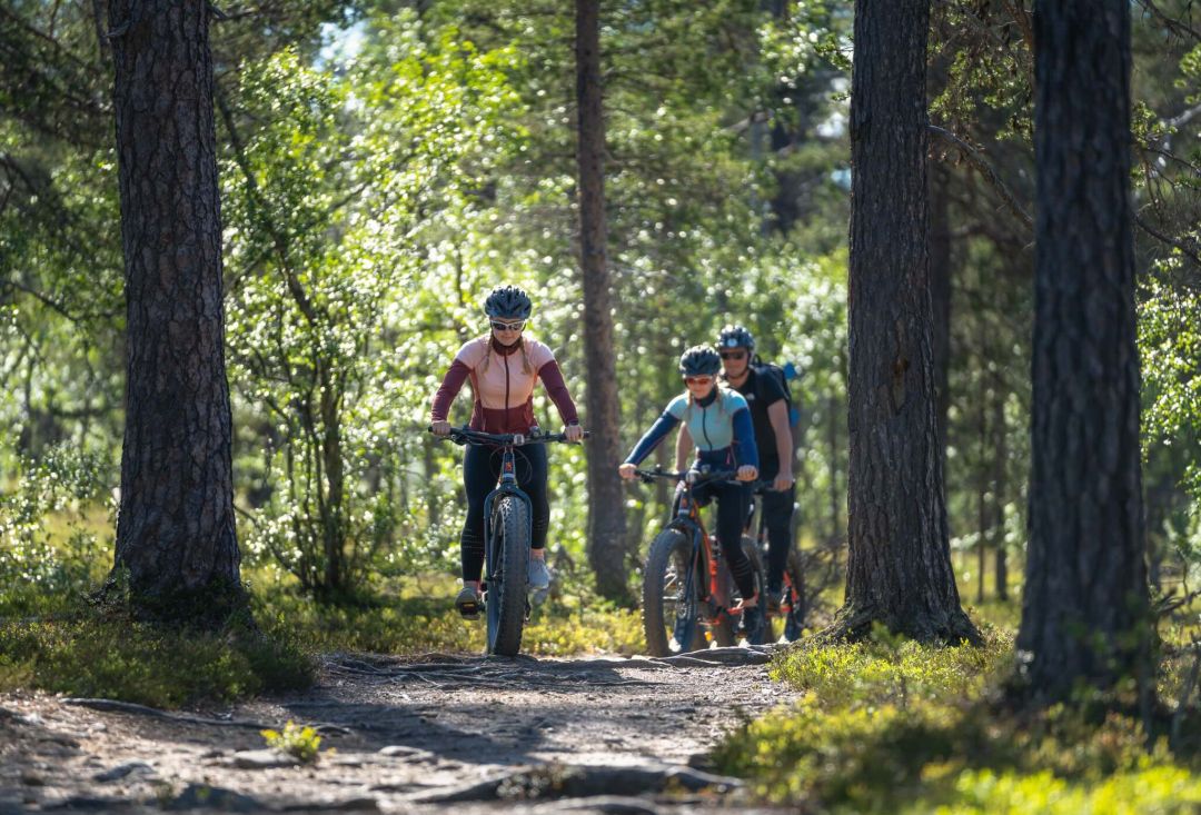 Kolme pyöräilijää Fatbikeillä tulossa metsäpolkua pitkin.