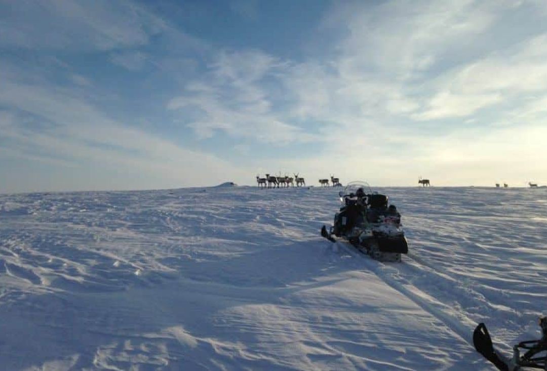 Arktisen Inari&shy;järven saaristo