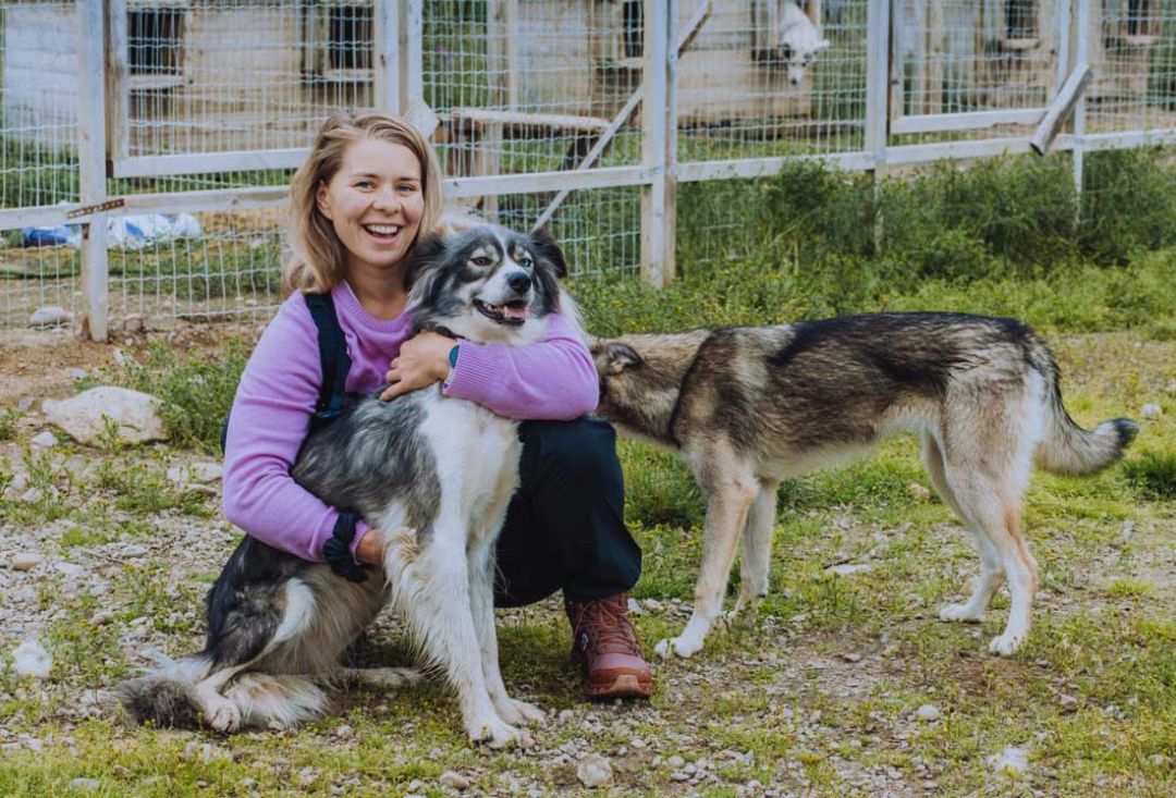 Naureskeleva nainen halaa pitkäkarvaista koiraa toisen koiran haistellessa kylkeä.