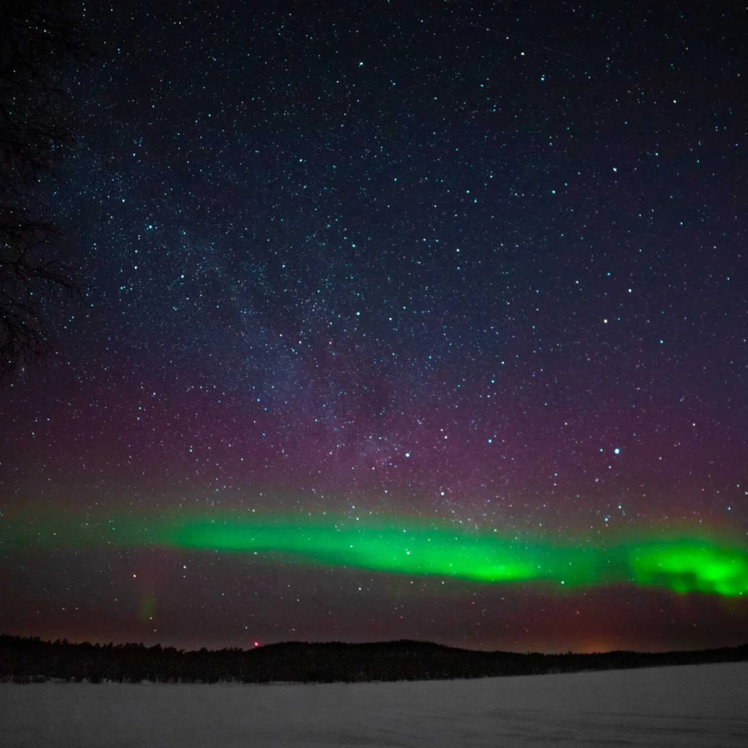 https://visitinari.fi/arctic-night-snowshoe-hike/