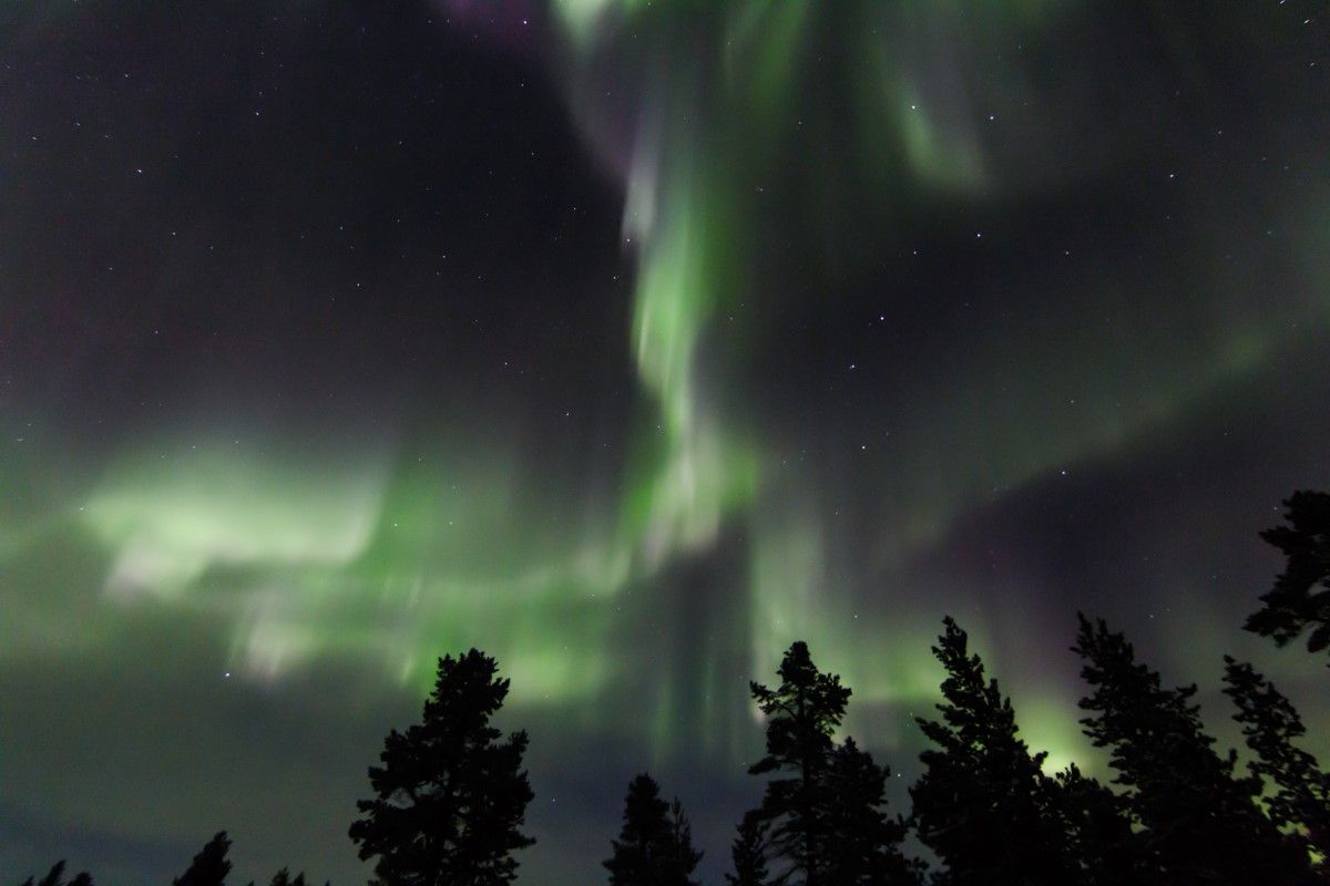 Artic Night Snowshoe Hike