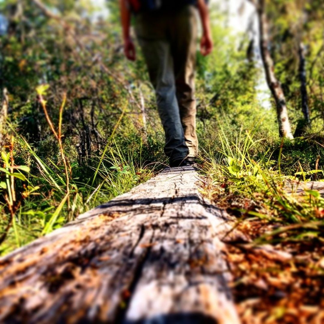 Autumn hiker