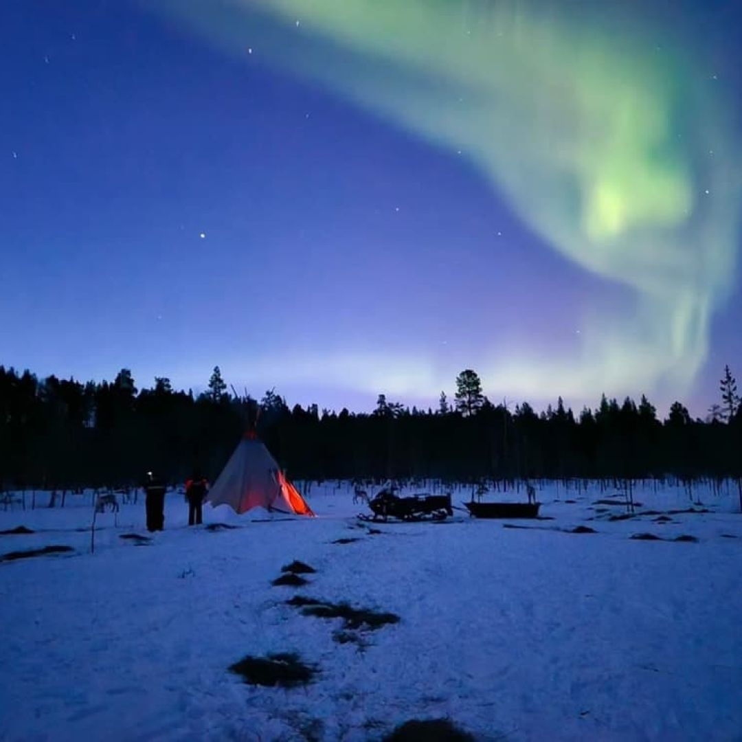 Aurora reindeer experience