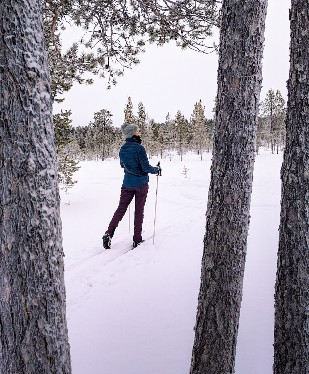 Cross Country Ski School, pic by Larissa Gehm