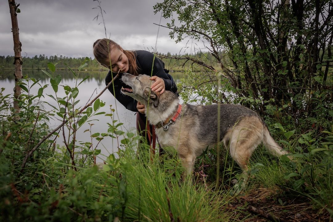 Hike with huskies