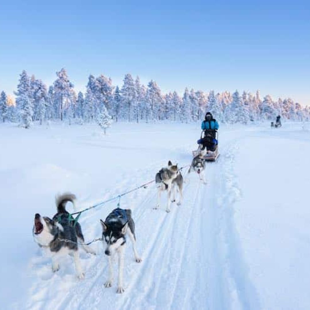 Winter activities
