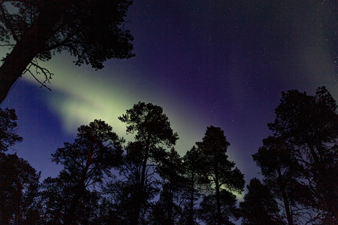 Northern lights in Inari Lapland Finland. Photo by Petri Saastamoinen.