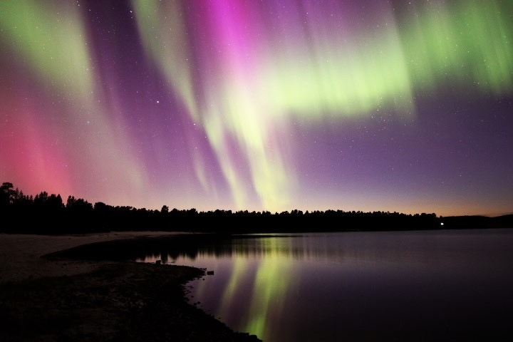 Green and pink northern lights, picture by Pekka Aikio.