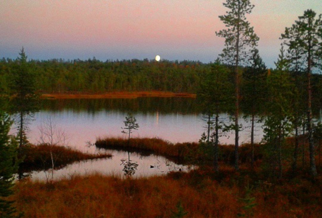Suuri lampi suos reunalta katsottuna. Suolla ruskaa ja aurinko näkyy pienenä pisteenä taivaanrannassa.
