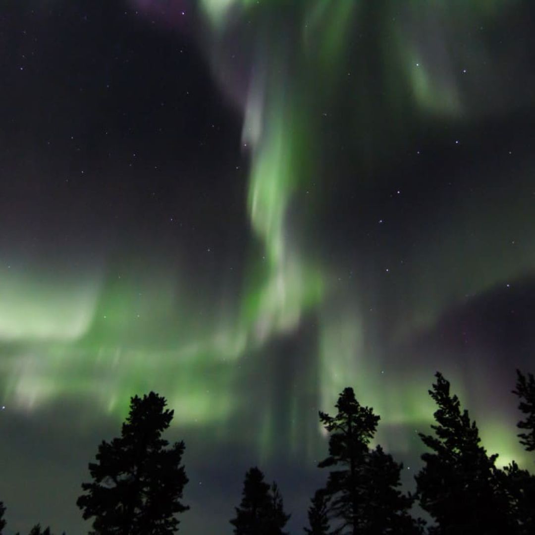 Artic Night Snowshoe Hike