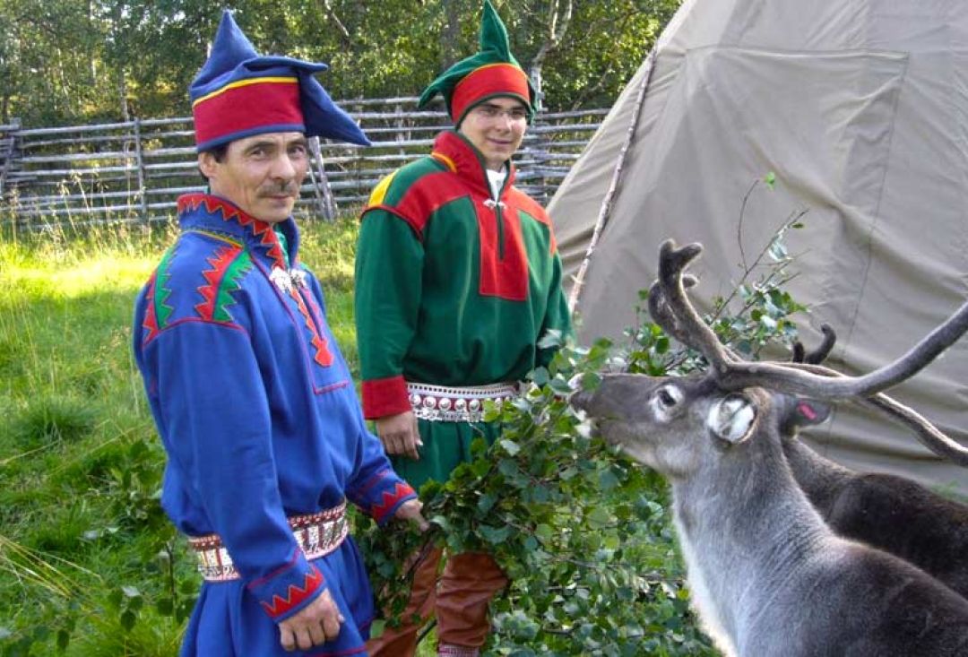 Two men in Sami people outfits feeding a reindeer tree branches.