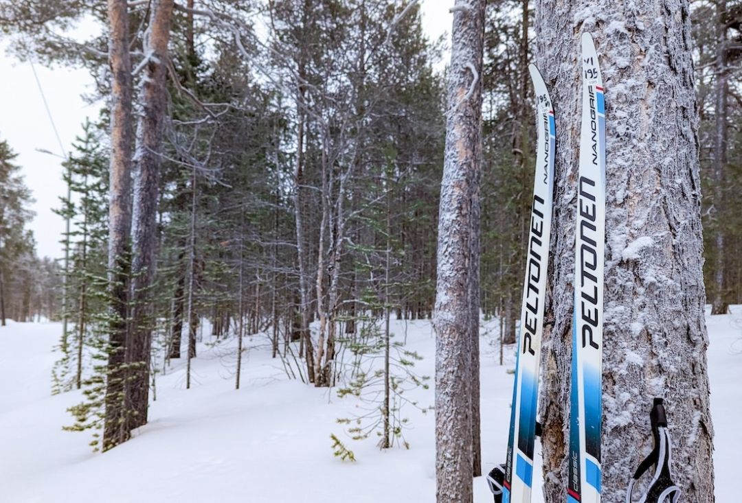 Sukset pystyssä mäntyä vasten lumisessa metsässä. Larissa Gehm
