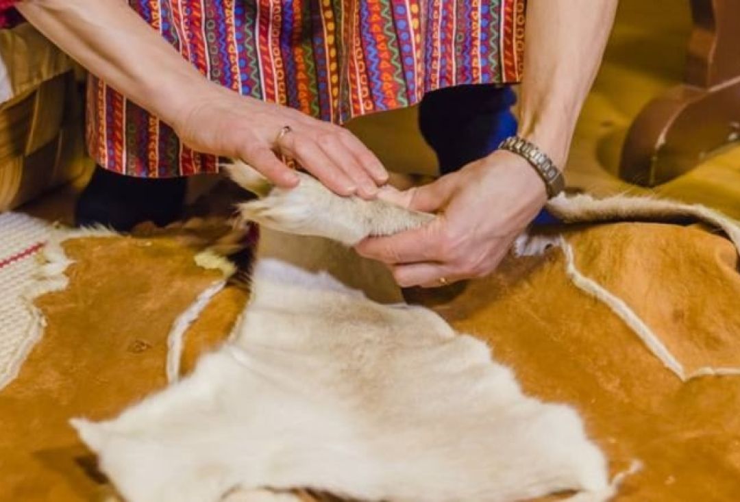 Woman's hands touching reindeer skin.