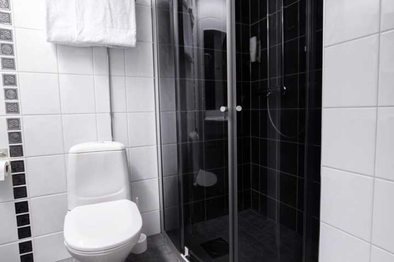 Kylpyhuone wc-istuimella ja nurkassa olevalla suihkukaapilla.