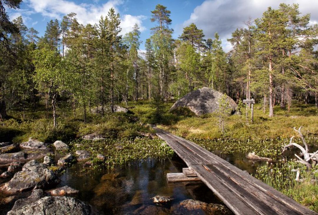 Pitkospuut veden yli polulla kauniissa Lapin maisemassa.