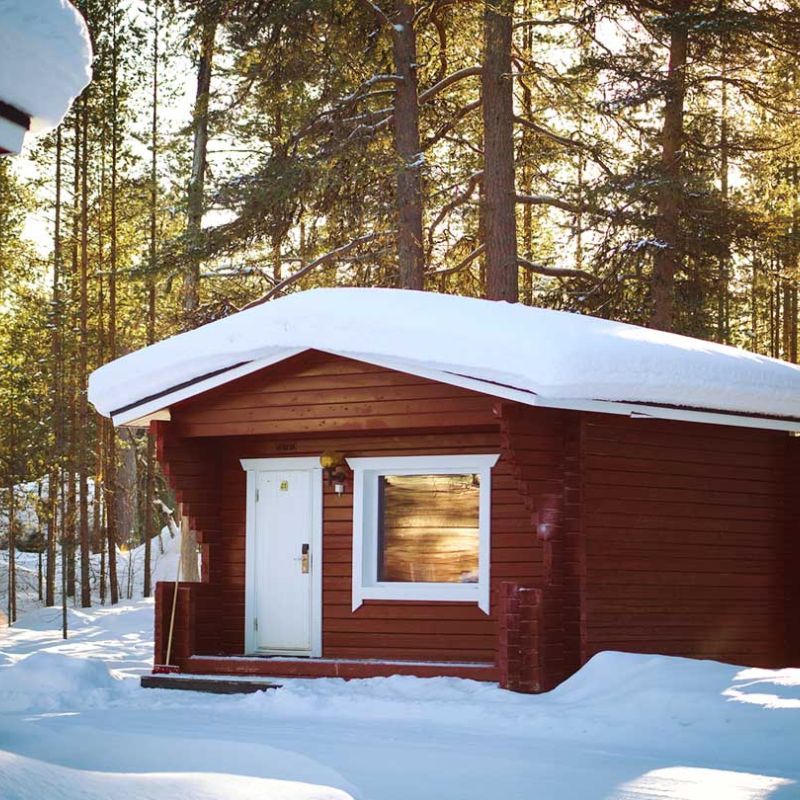 Cabin in snow in front of pine forest.