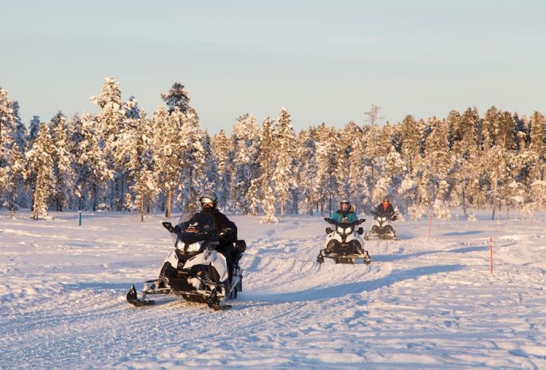 Group of people riding snowmobiles out of forest track.