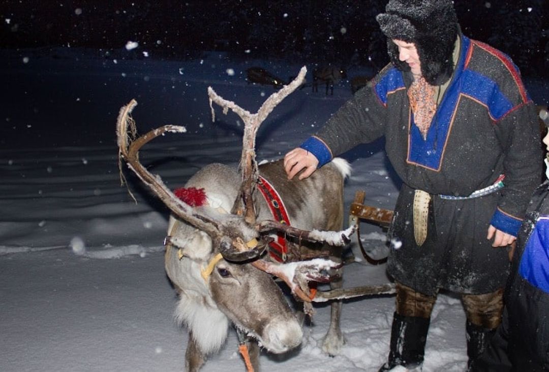 Man with a child petting a reindeer with big antlers on a snowy night.