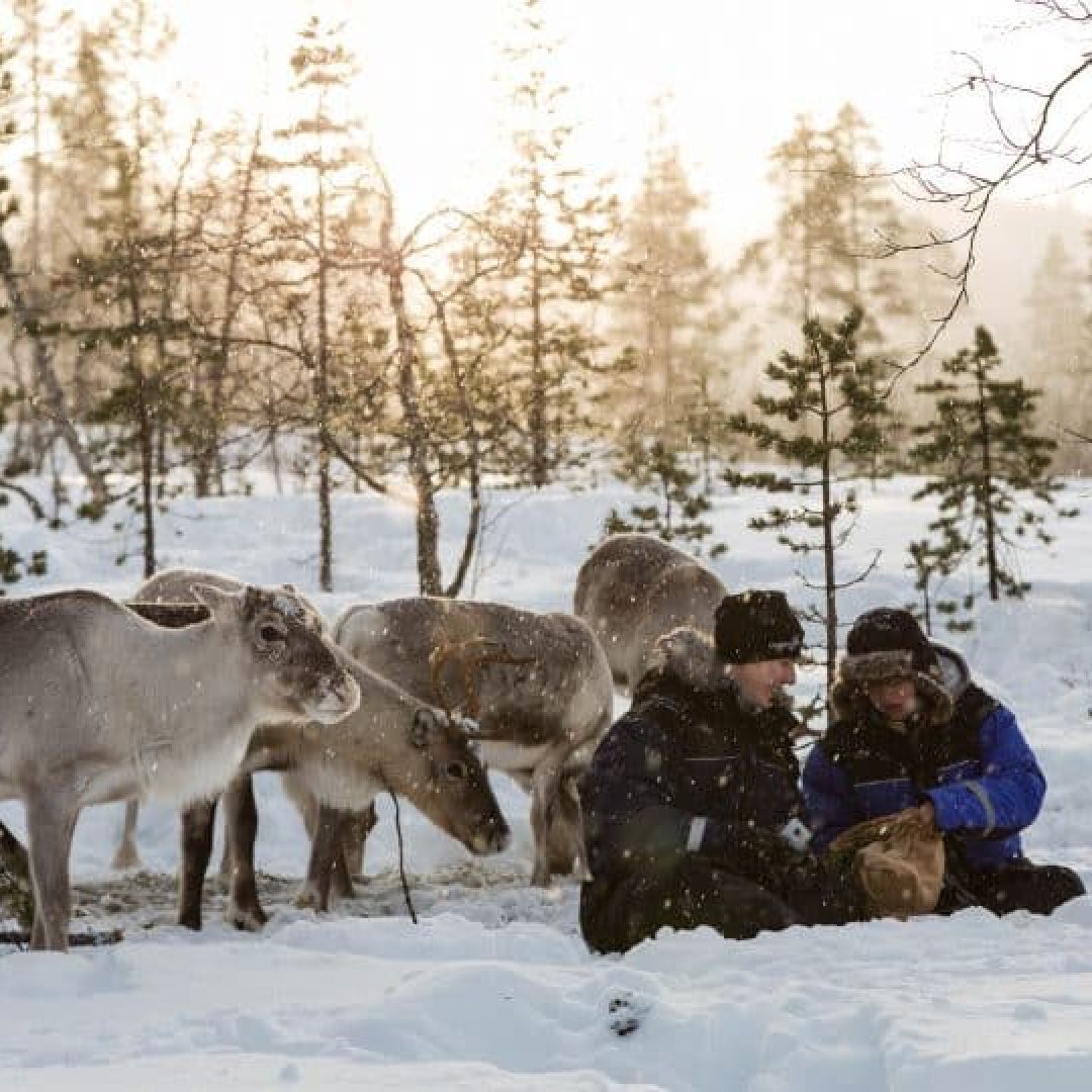 Taste of Reindeer Herder's Day