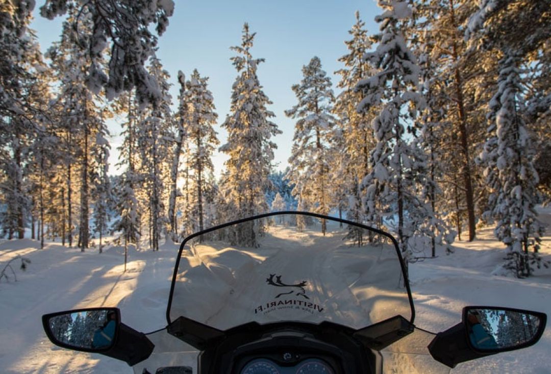 Snowmobile going to a thick snowy forest on a bright sunny day.
