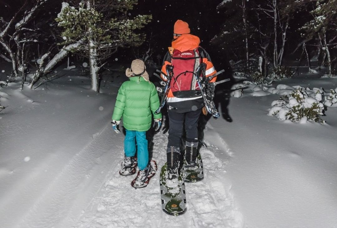 Couple people going to a dark forest with show shoes on.