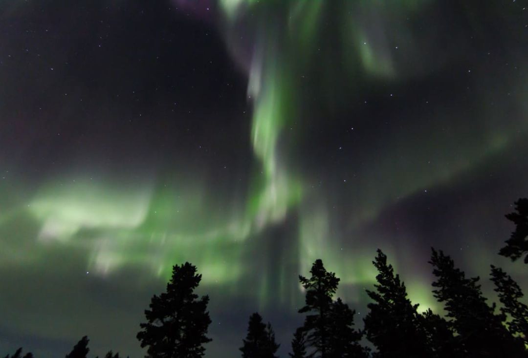 Artic Night Snowshoe Hike