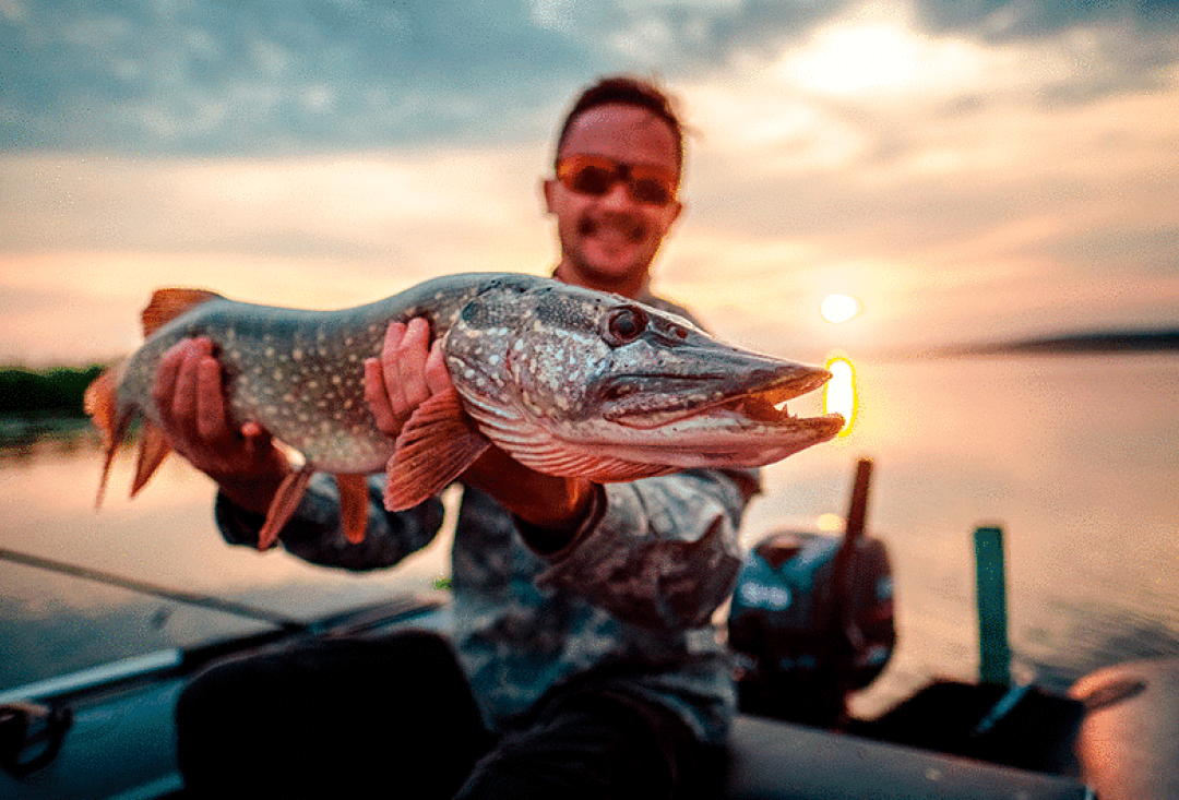 Man with sunglasses in a boat in sunset holding a long pike.