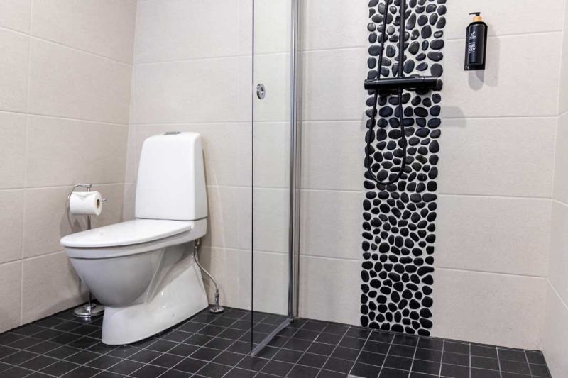 Bathroom inside the studio cabin with toilet and walk-in shower