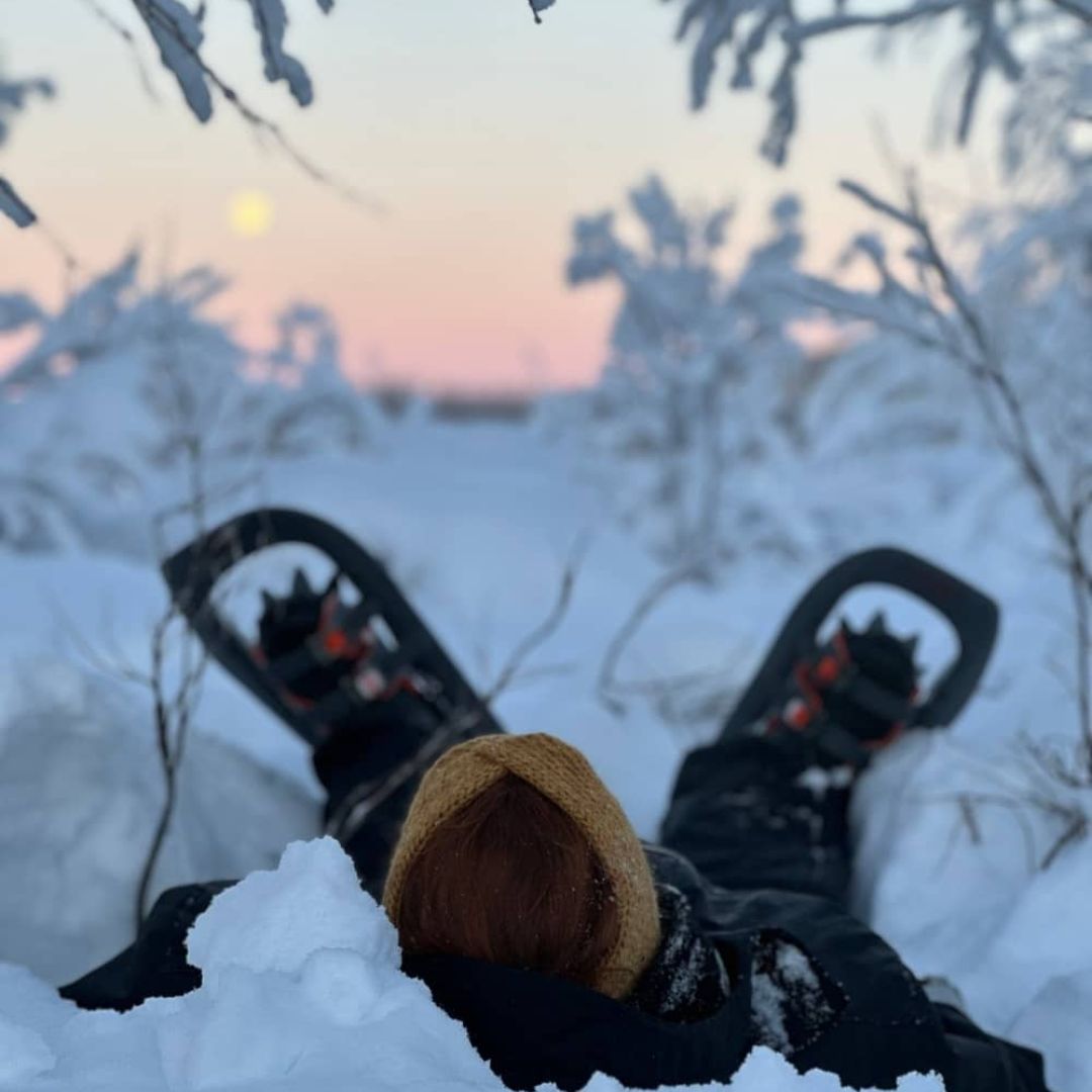 Snow Forest Trek