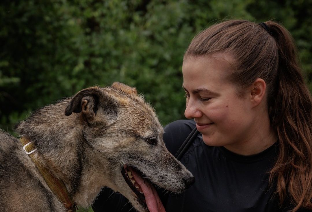 Hymyilevä, pitkähiuksinen nainen silittää vanhaa huskyä, jolla roikkuu kieli ulkona.