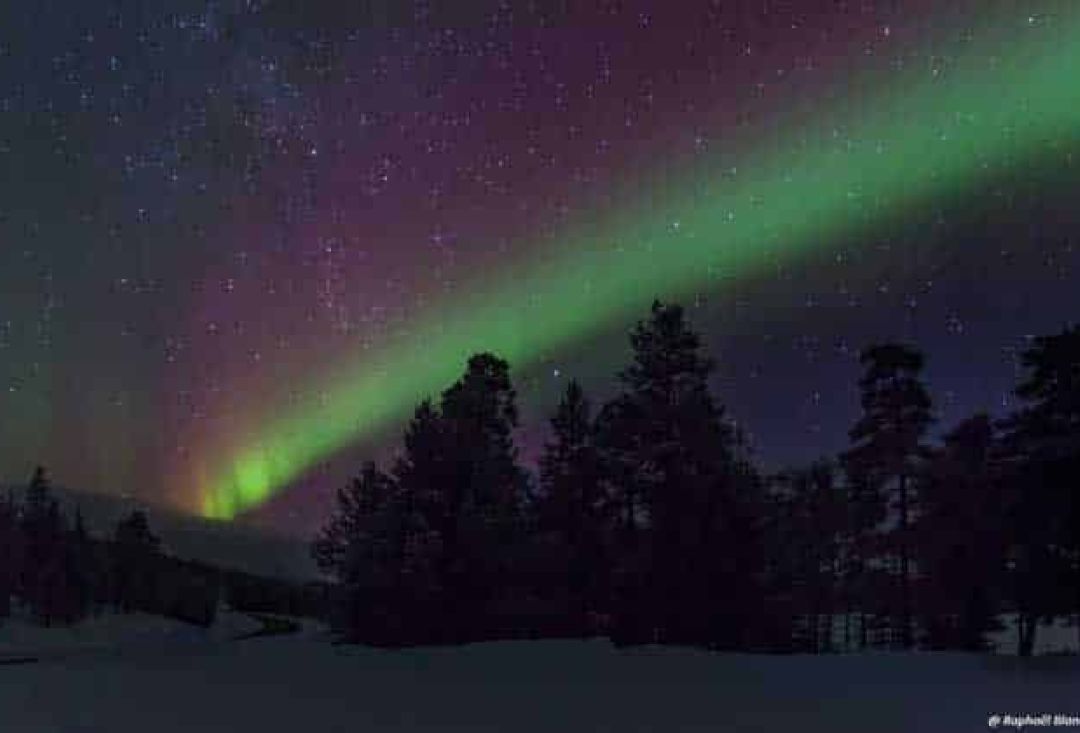 Winter night with dark trees under northern lights shaped like a rainbow.