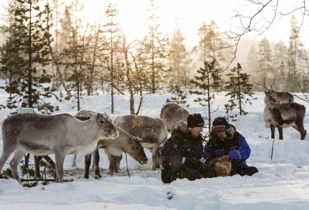 Two men squatting in front of reindeer pack.